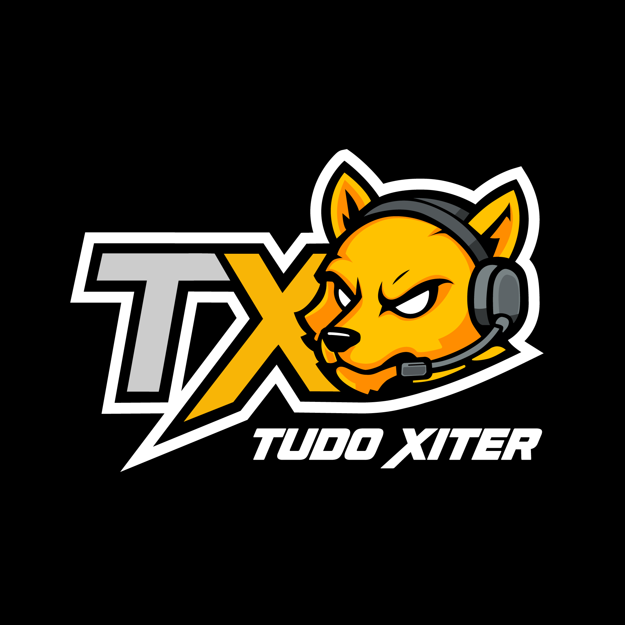 TX Tudo Xiter